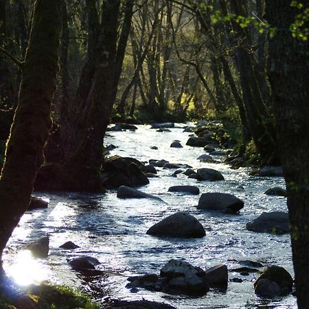 Le Gite De Chomet La Tour-d'Auvergne Exterior photo